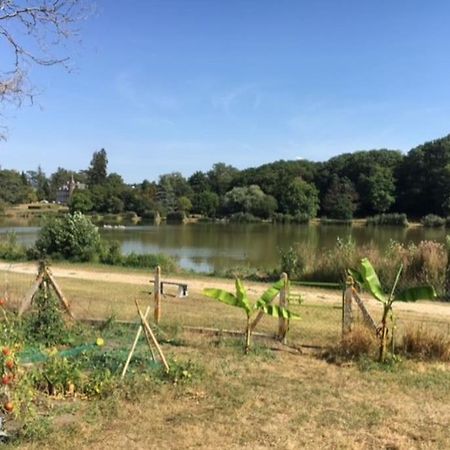 Maison Face A L'Etang Précy المظهر الخارجي الصورة