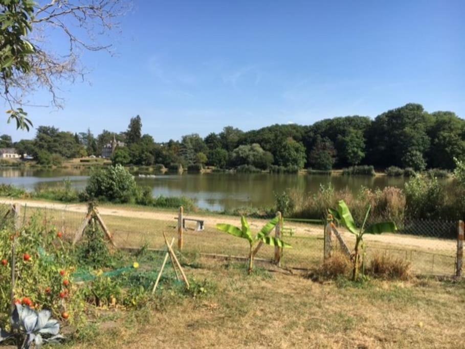 Maison Face A L'Etang Précy المظهر الخارجي الصورة